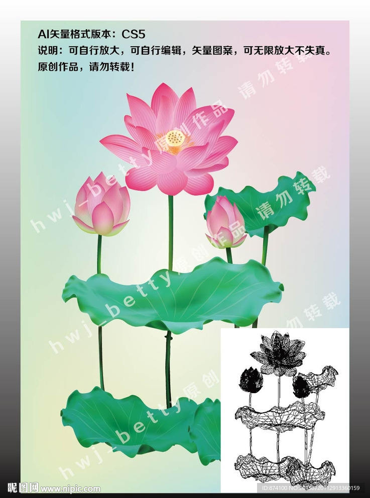 荷花背景图