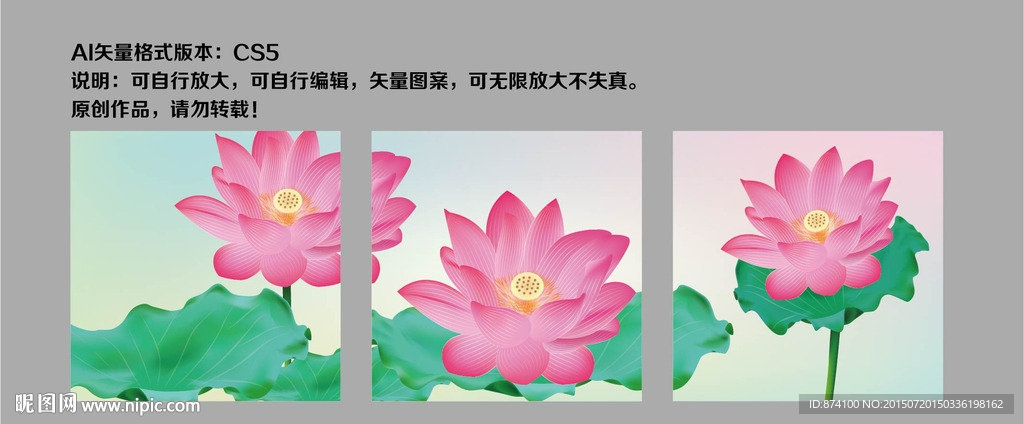 荷花无框画
