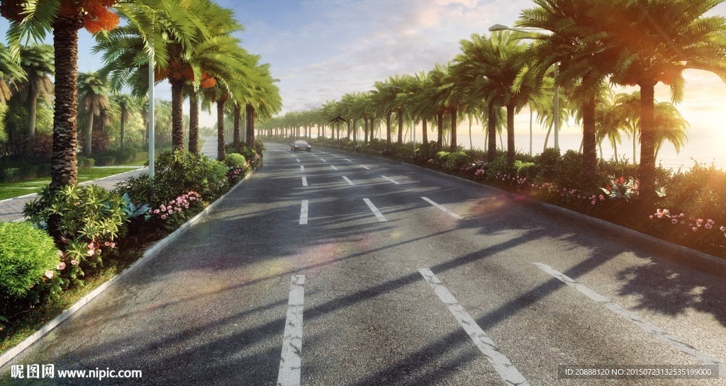 公路晨光动画