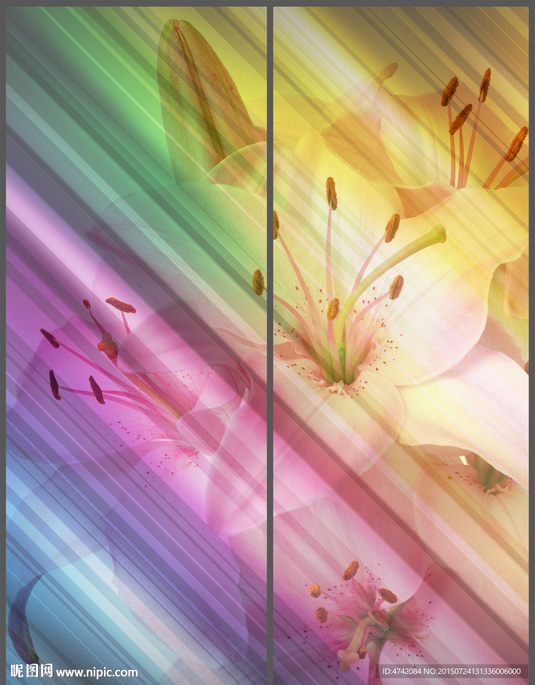 现代简约花纹移门 PSD