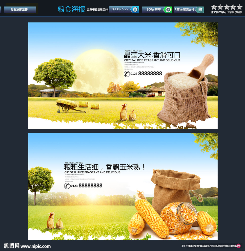 大米 粮食 唯美