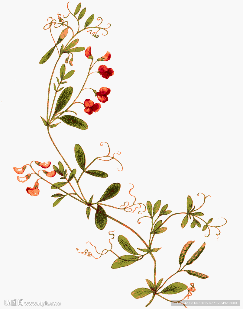 复古小花 未分层