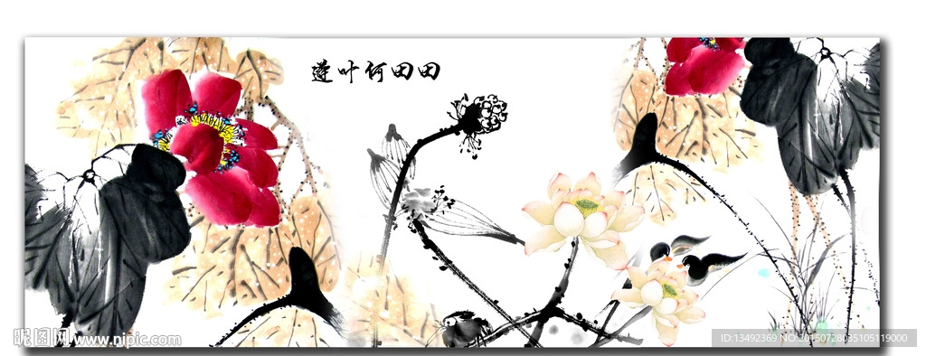 国画荷花