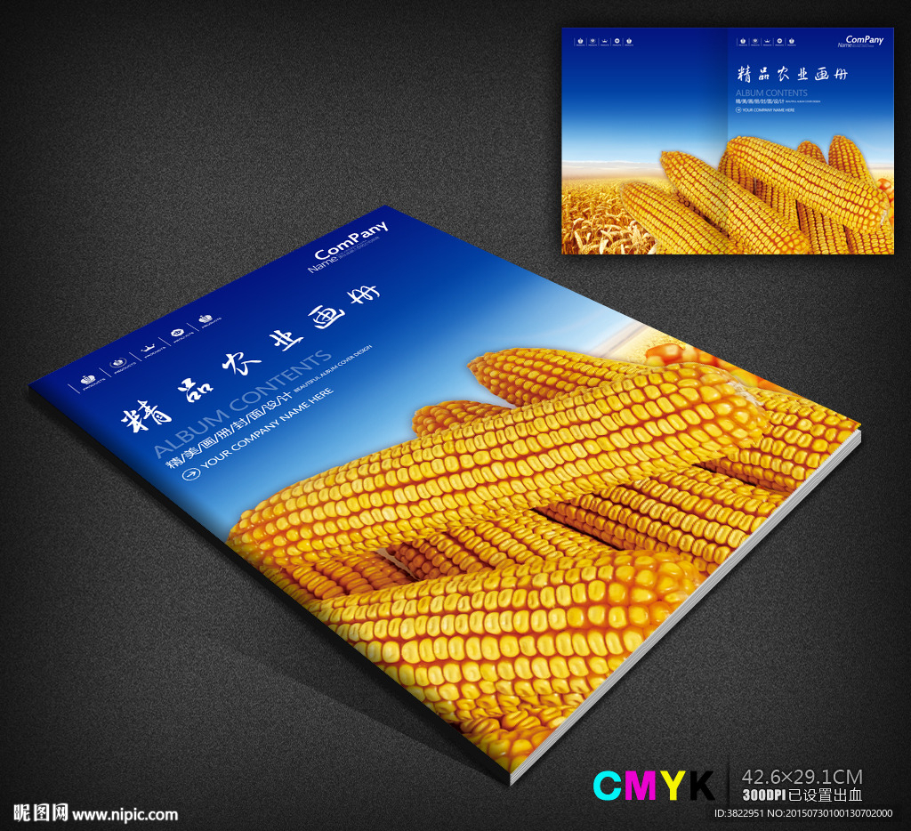 玉米丰收画册封面