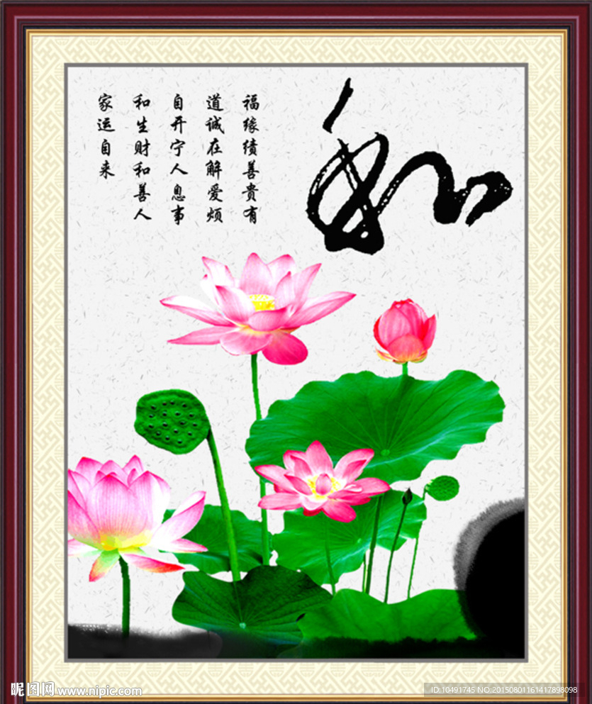 荷花