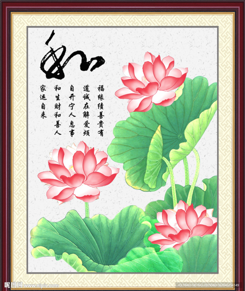 荷花