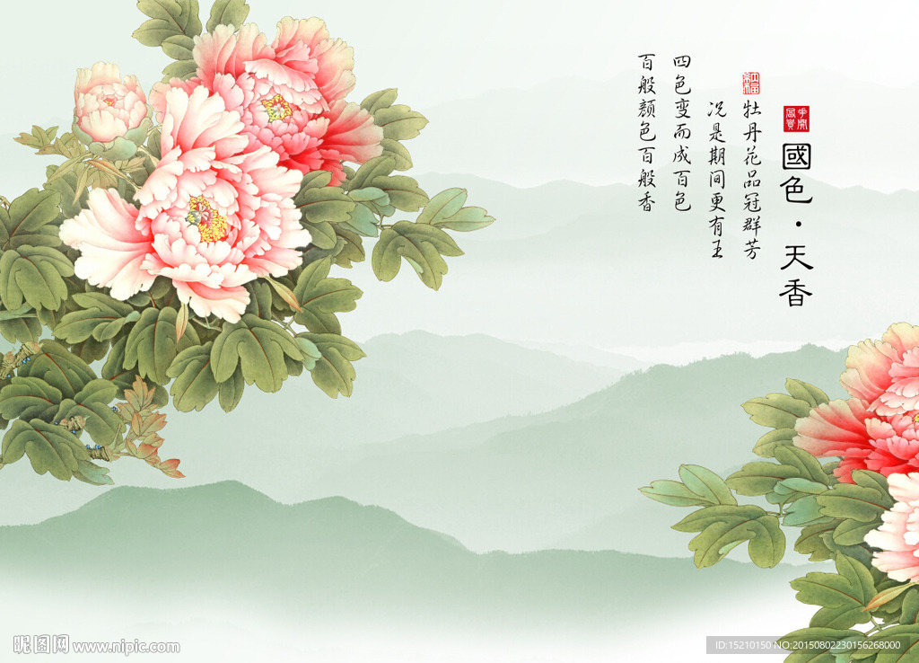 国色天香牡丹花