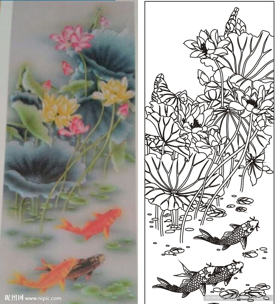 荷花鱼