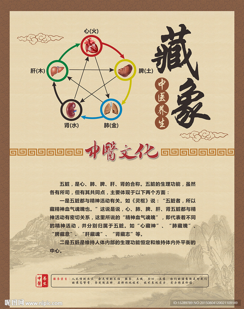 中医养生 藏象