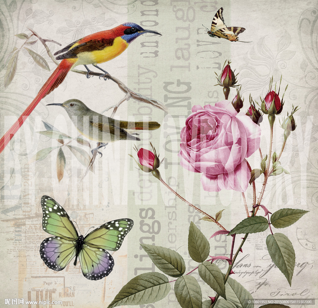 欧美花鸟装饰画