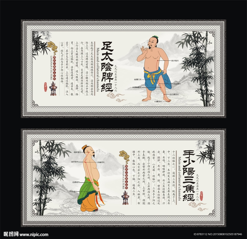 中医经络脾经 三焦经养生展板
