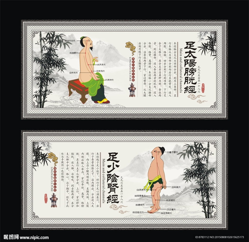 膀胱经 肾经 中医经络养生展板