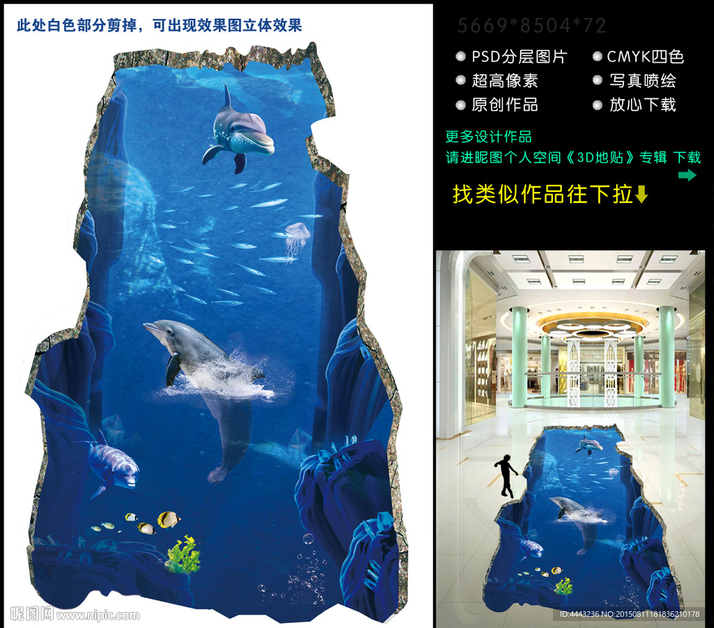 海豚3D画图片