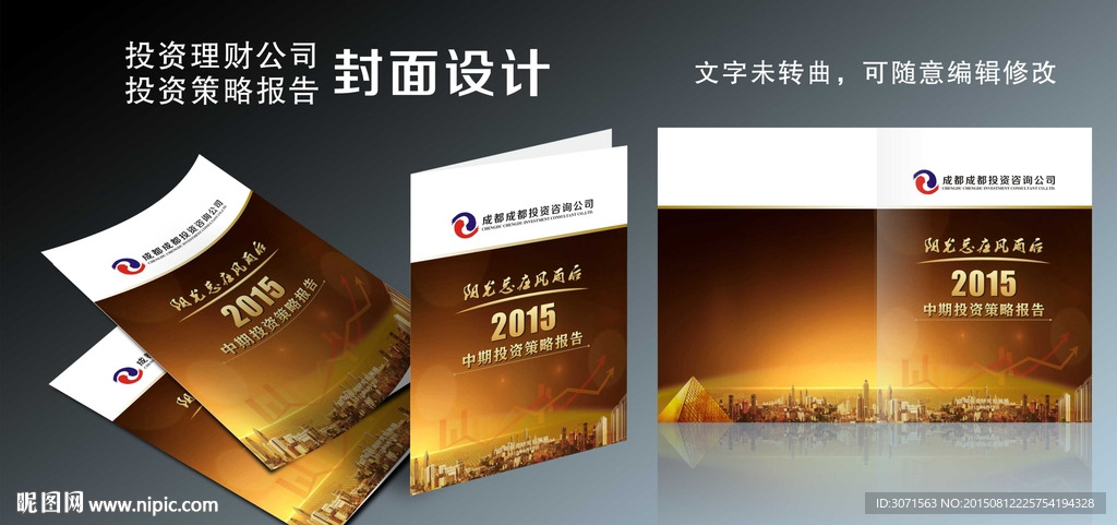 投资理财公司策略报告封面