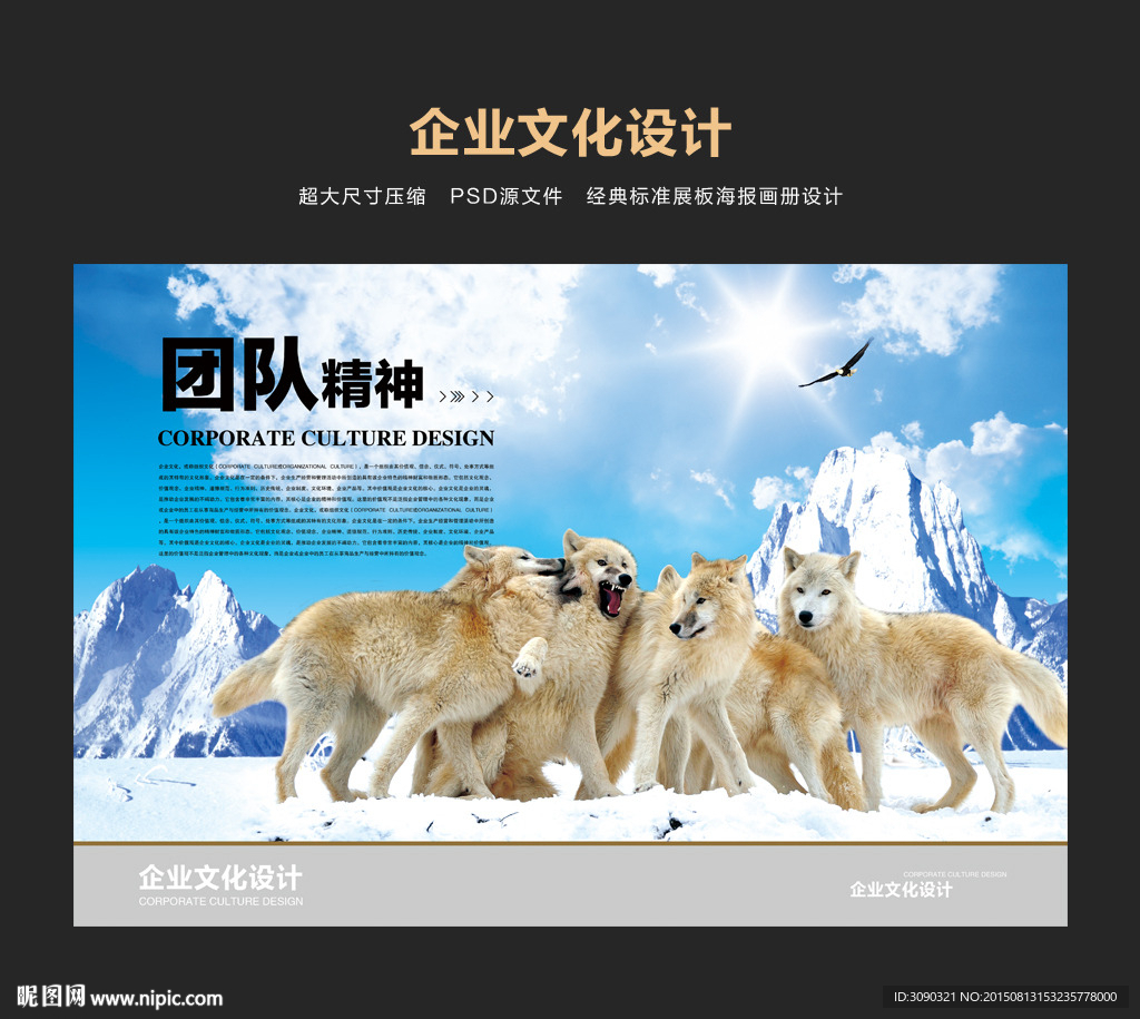 团队