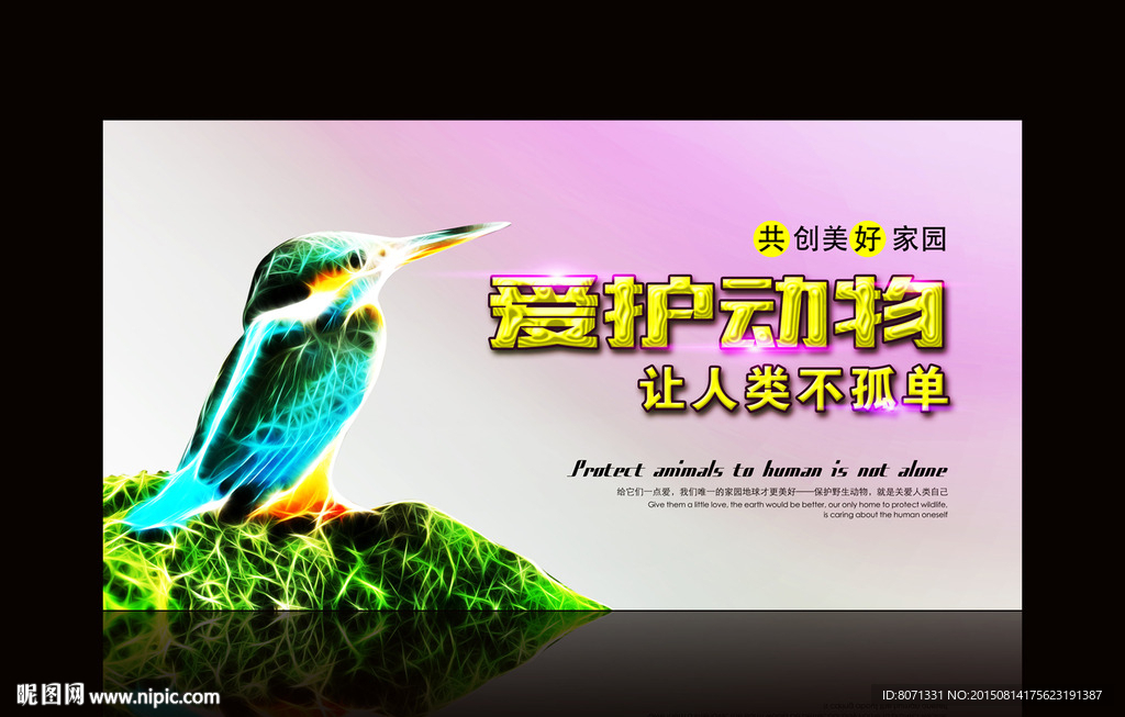 爱护动物