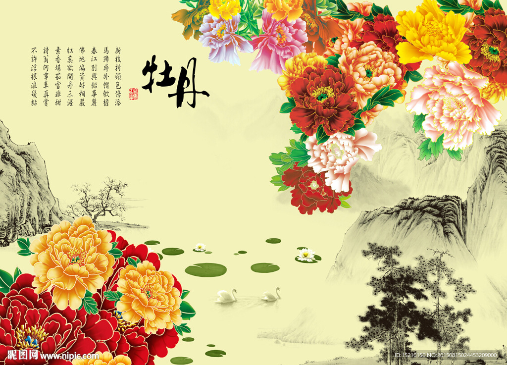 国色天香牡丹花