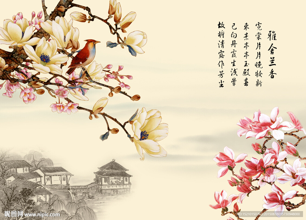 雅诗兰香玉兰花