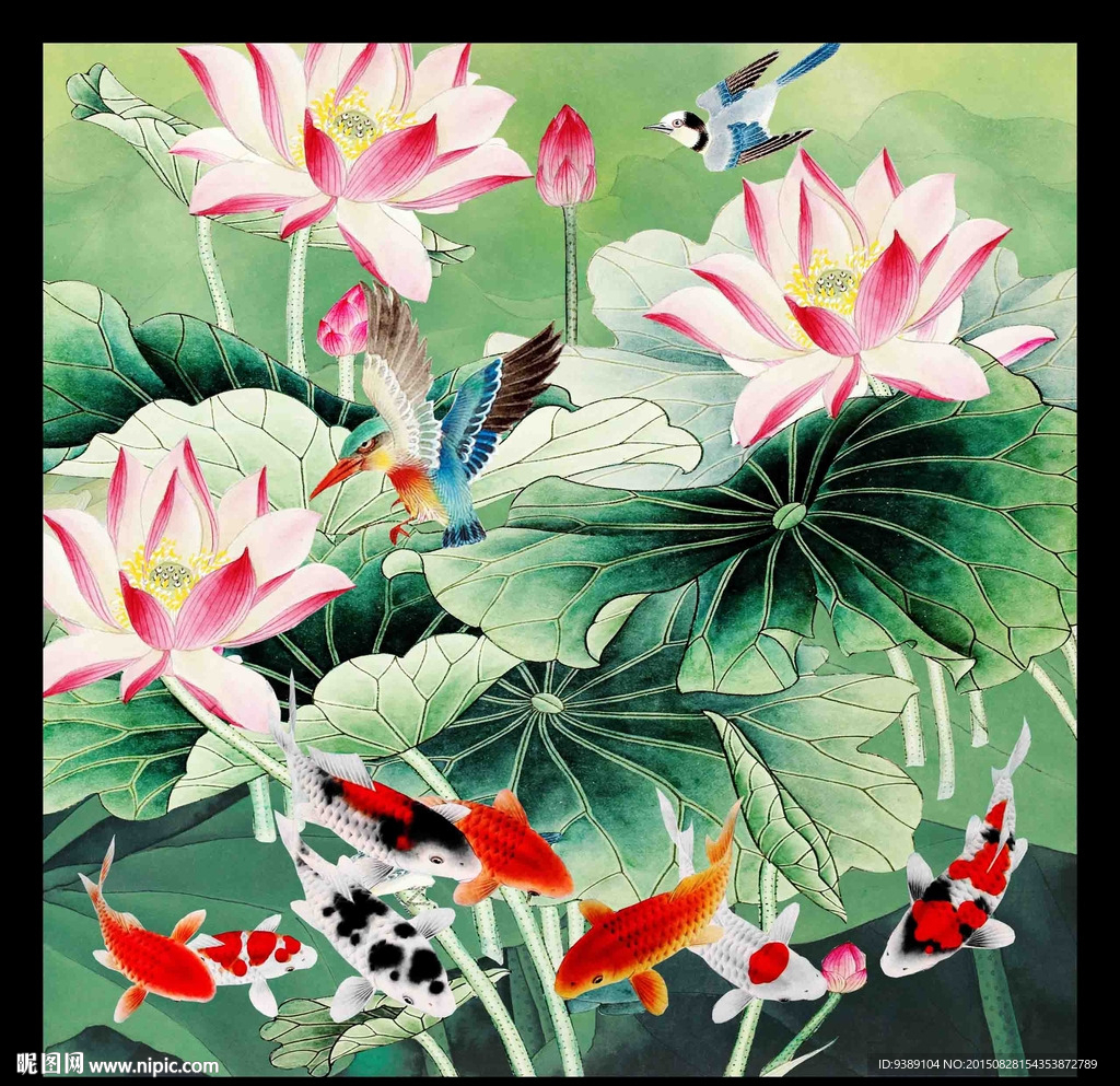 荷花