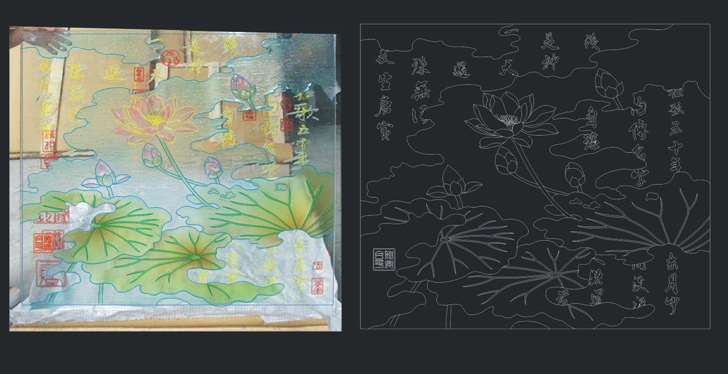 荷花