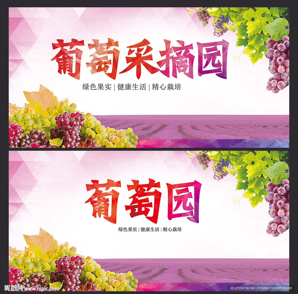 葡萄采摘