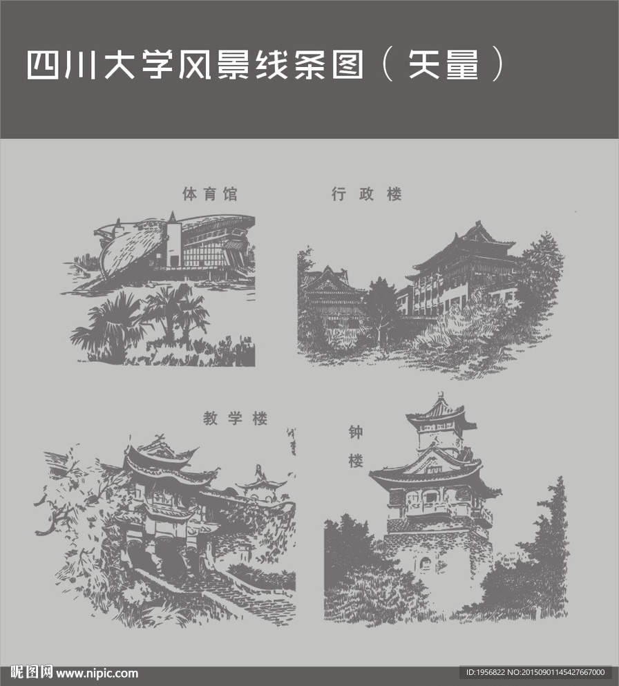 四川大学风景线描