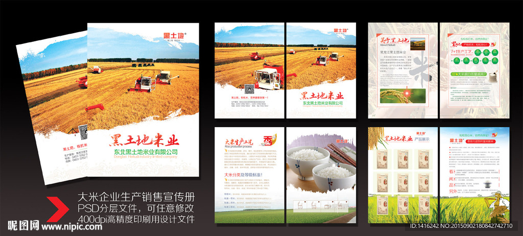 大米企业宣传册