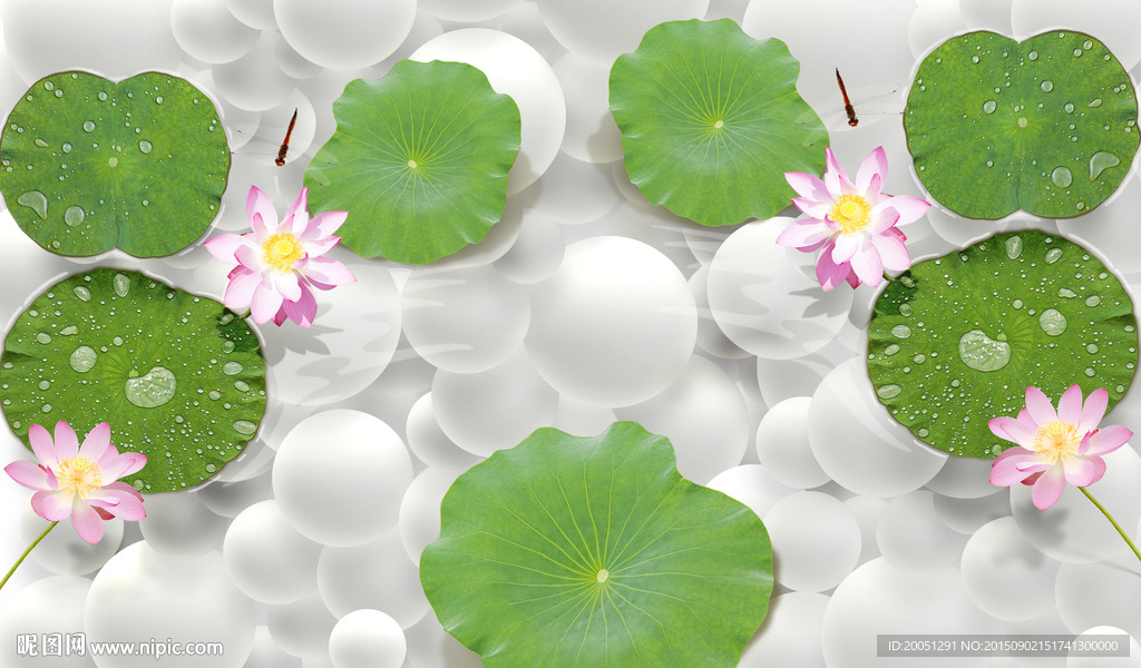 3d背景墙 荷花