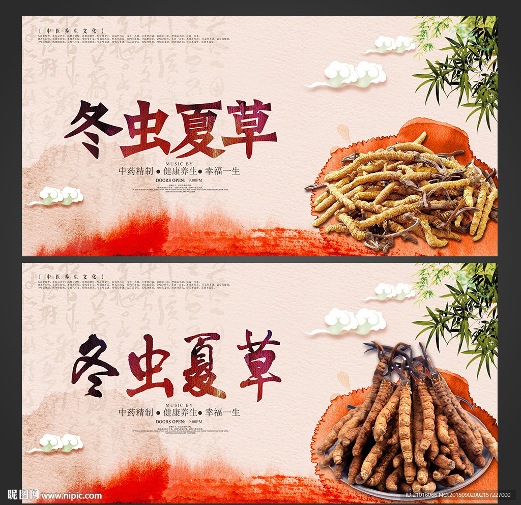 冬虫夏草