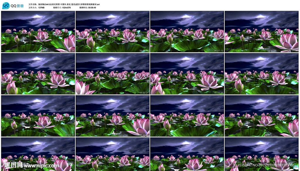 中国风荷花莲花LED背景视频素