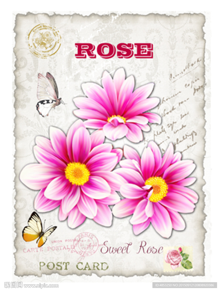 手绘花卉  装饰画