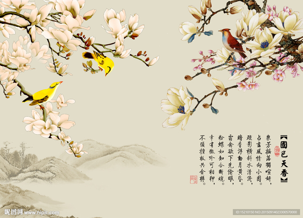 国色天香玉兰花