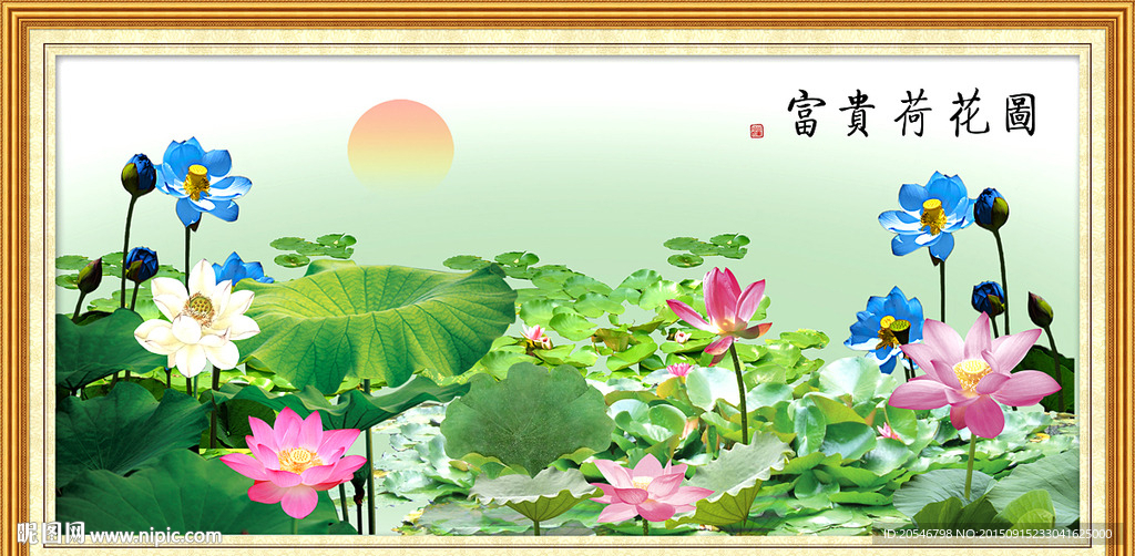 国画荷花