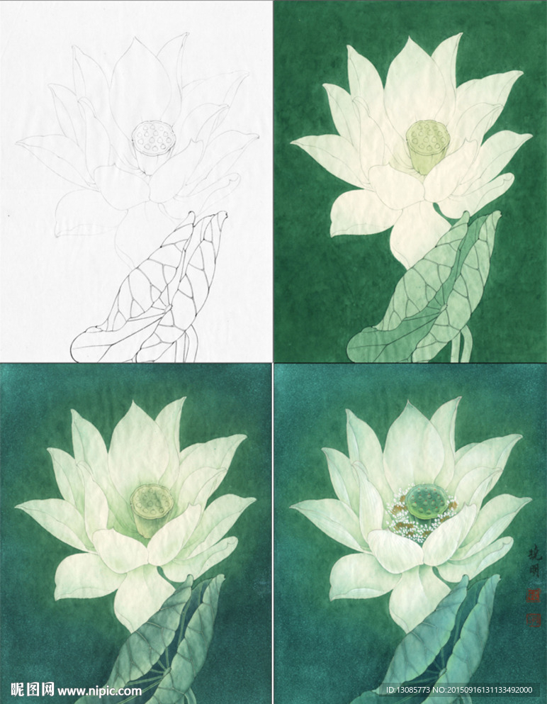 工笔画荷花承露线稿上色步骤
