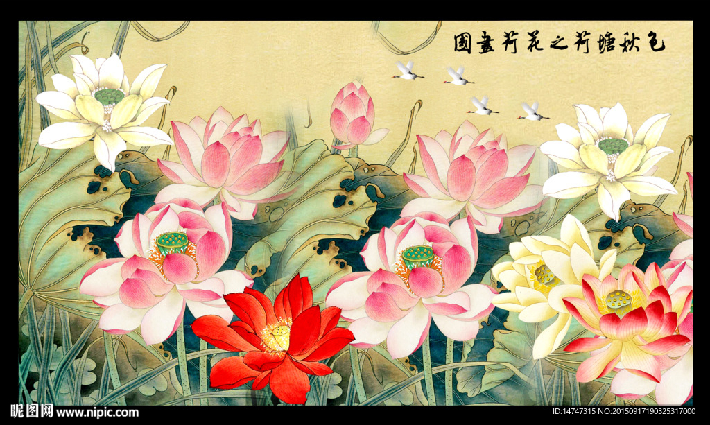 国画荷花