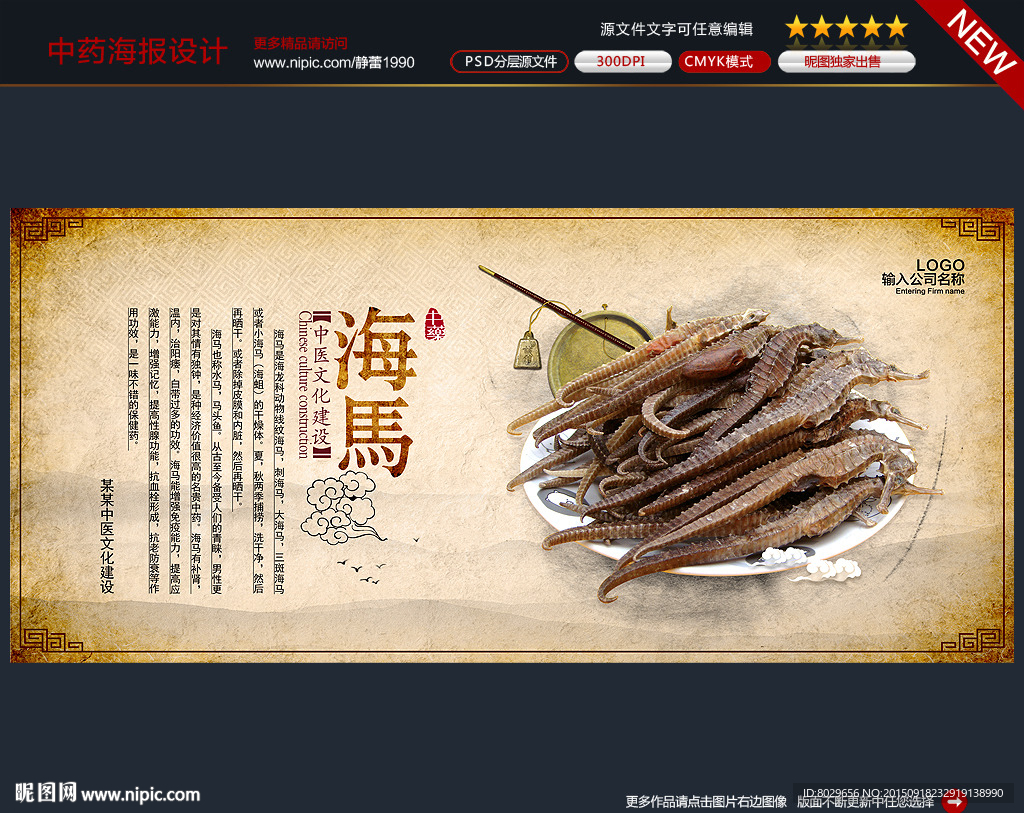 海马图片