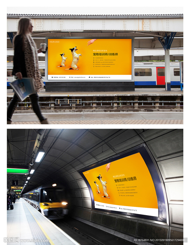 宠物驯养师饲养师培训海报