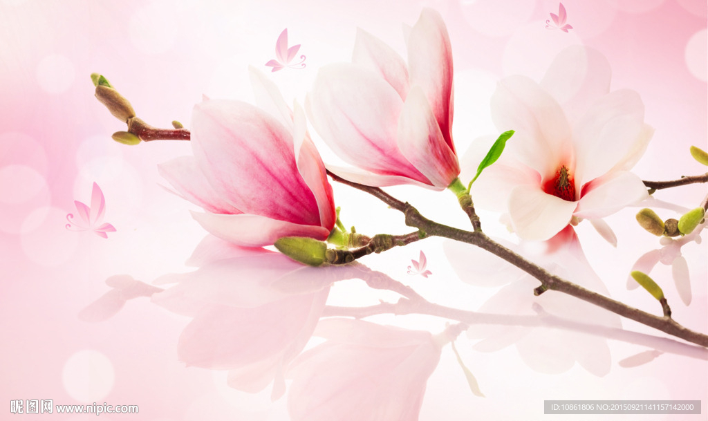 玉兰花粉色梦幻背景墙