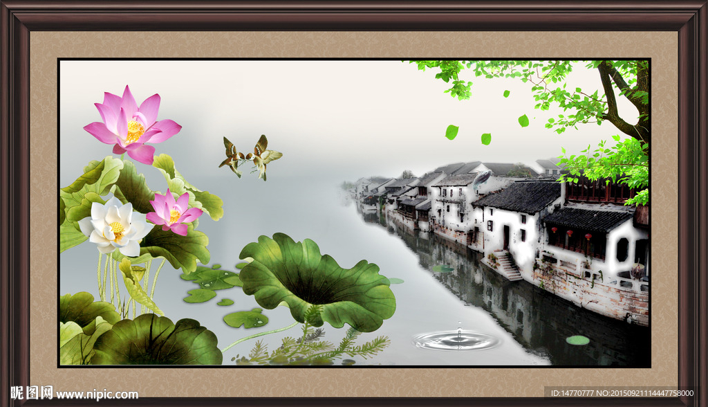 荷花风景 水乡江南