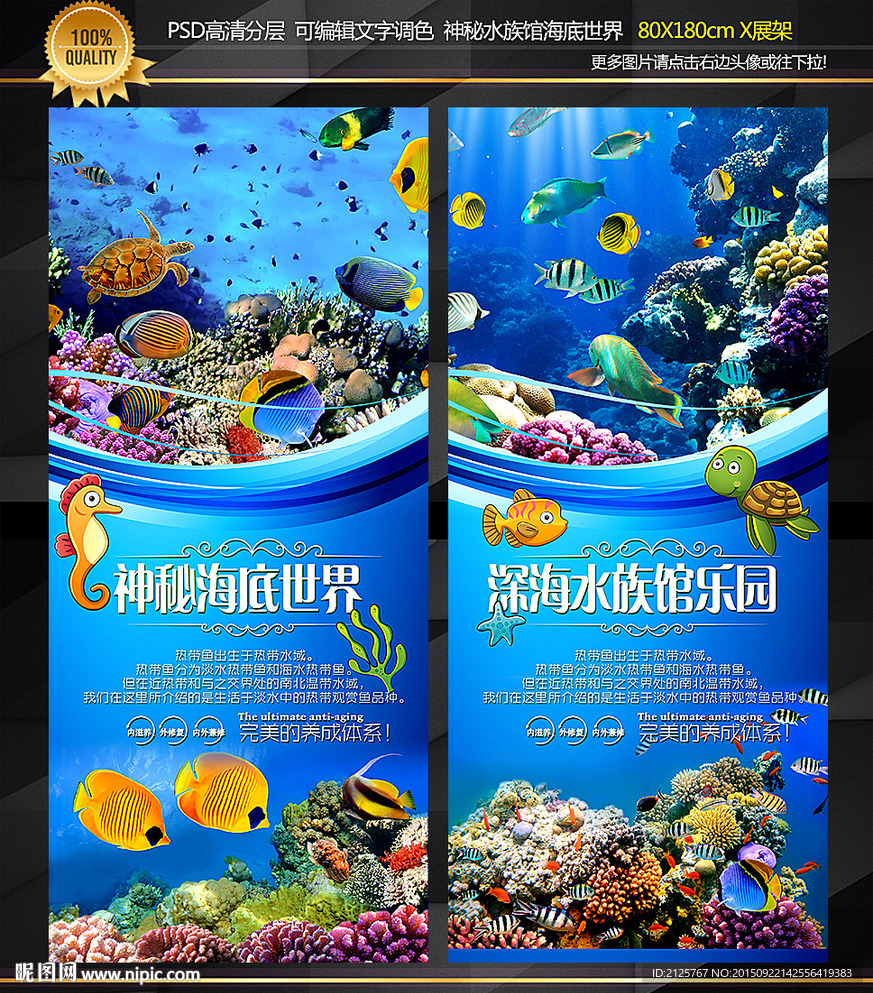 海洋世界水族馆 展架