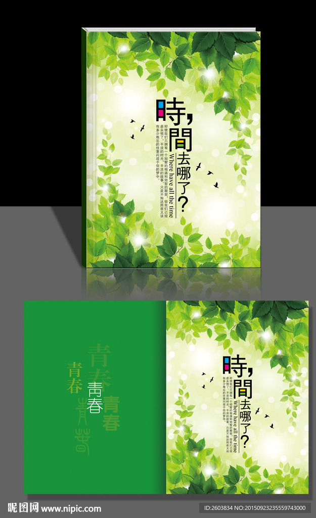 时间去哪了封面