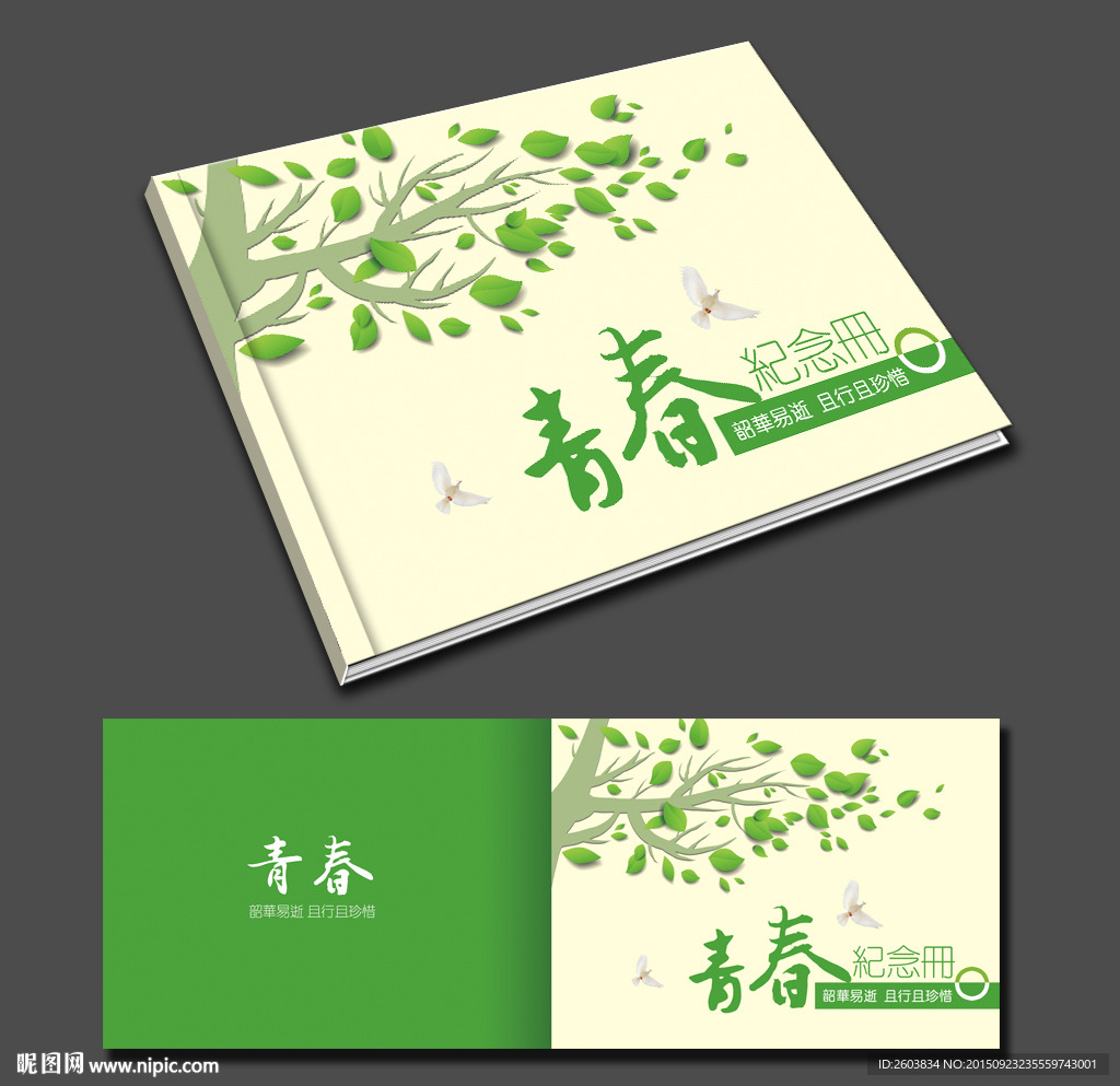 青春纪念册封面