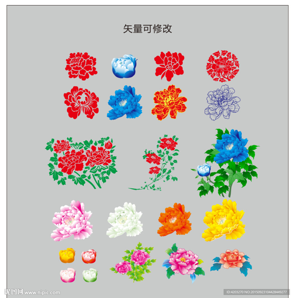 牡丹花