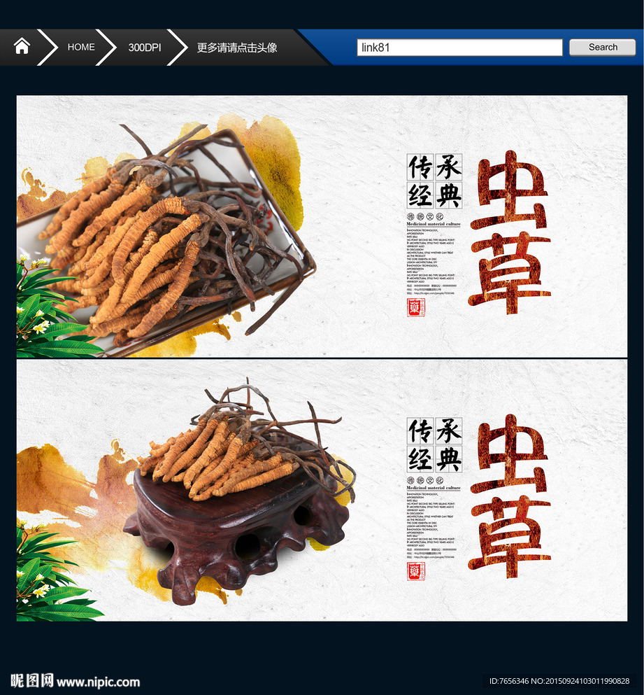 冬虫夏草 唯美中国风