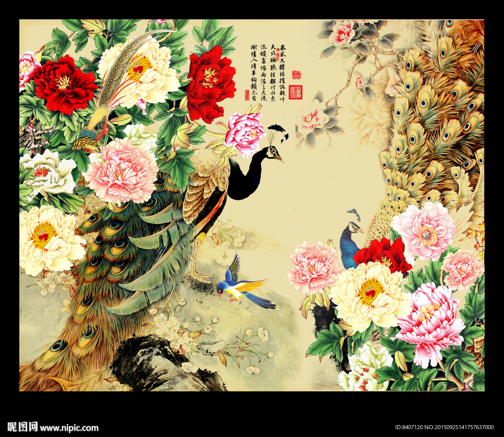 花开富贵孔雀图