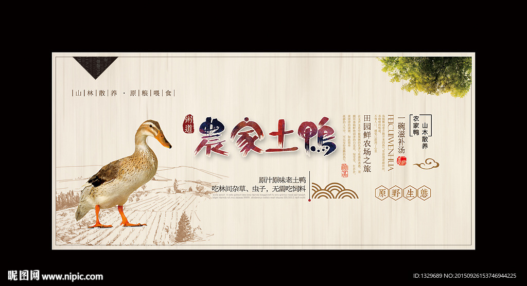 土鸭海报