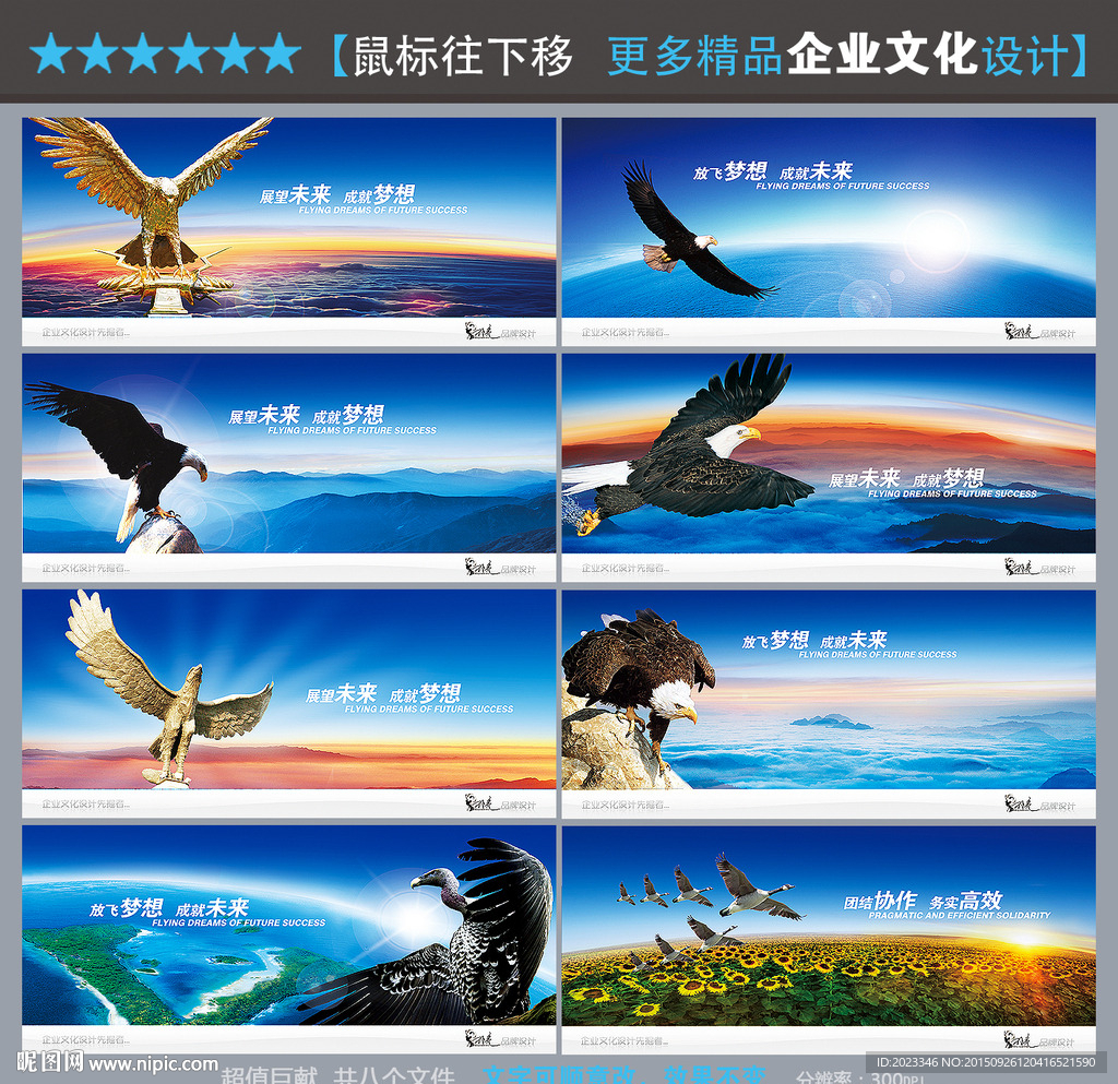 老鹰