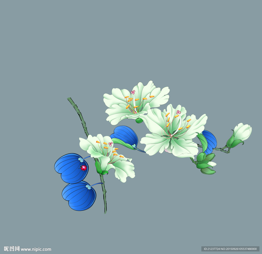 工笔花朵