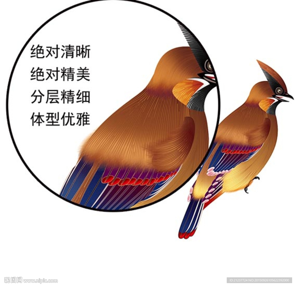 吉祥鸟