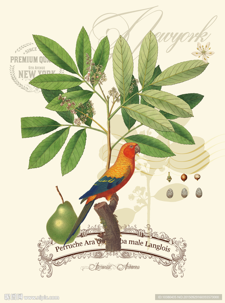 鹦鹉与叶子